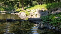 Stream with reflections on the water Stream with reflections on the water