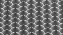 Structure of BASF Lighting Film