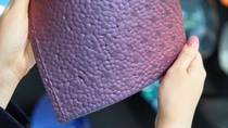 Purple plate with NovaCoat-P Purple plate with NovaCoat-P
