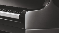 Detail of Piano D 274 black polished