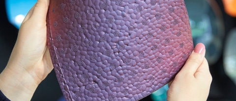 Purple plate with NovaCoat-P