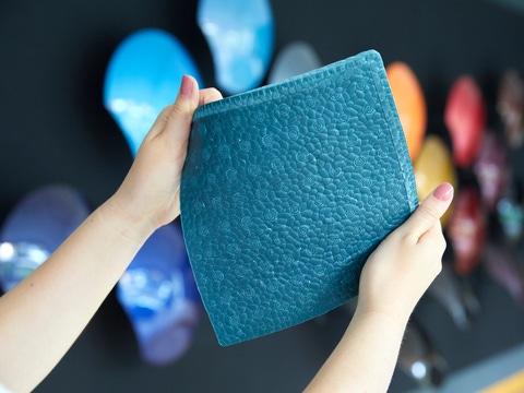 Hands holding a blue plate with NovaCoat P