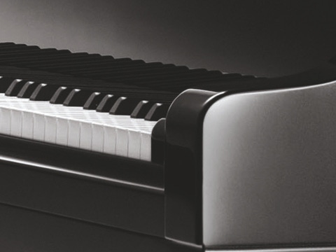 Detail of Piano D 274 black polished