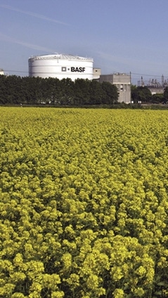 Ultramid® polyamide solution based on renewable raw materials helps save fossil resources and reduce greenhouse gas emissions. Ultramid® polyamide solution based on renewable raw materials helps save fossil resources and reduce greenhouse gas emissions.