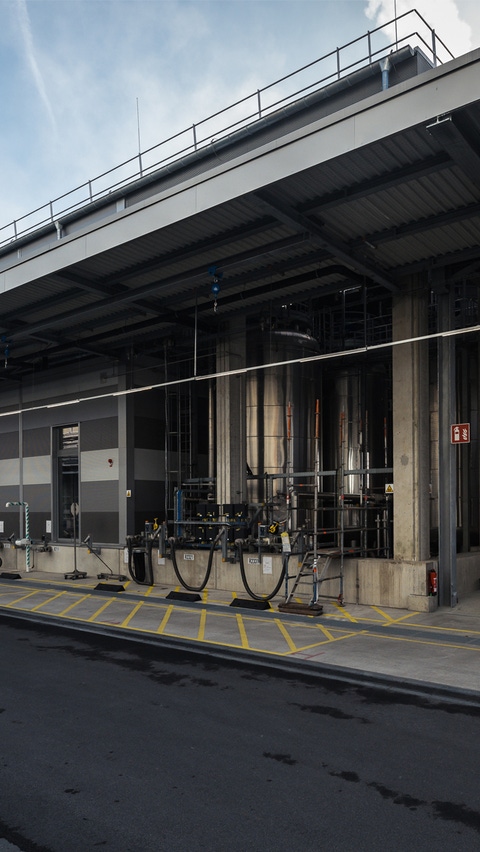 Golden Gate: Photo of new high-runner plant in Muenster