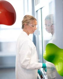 Scientist in front of protection glass. 