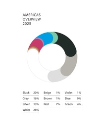 Global Color Report 2025 Pie Chart Americas EN